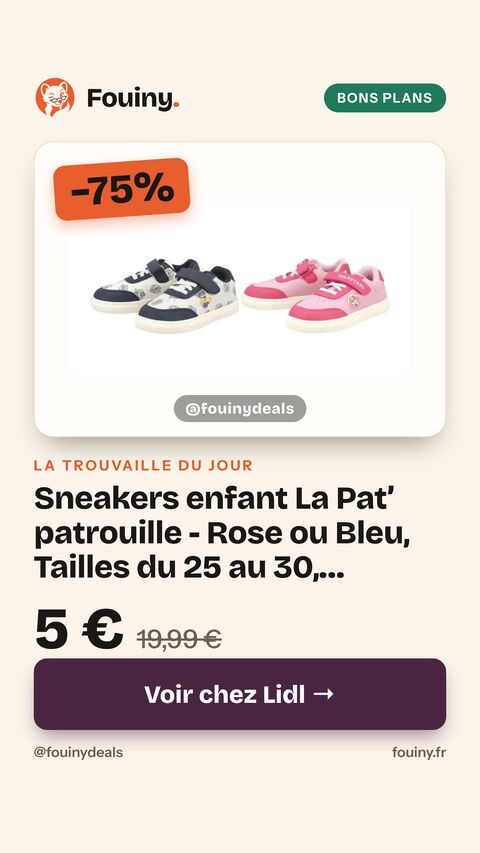 Sneakers enfant La Pat’ patrouille - Rose ou Bleu, Tailles du 25 au 30, fermeture auto-agrippante