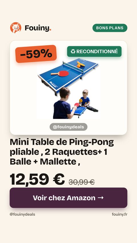 Mini Table de Ping-Pong pliable , 2 Raquettes+ 1 Balle + Mallette ,