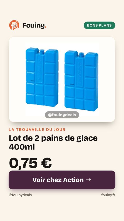 Lot de 2 pains de glace 400ml