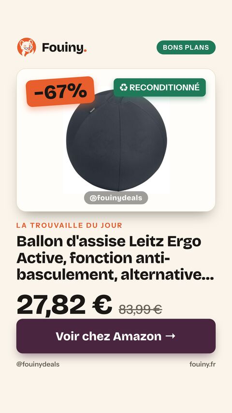 Ballon d'assise Leitz Ergo Active, fonction anti-basculement, alternative ergonomique à la chaise de bureau, diamètre 55 cm, housse en tissu, pompe à air manuelle, 2 bouchons, Gris Foncé, 65410089 55 cm