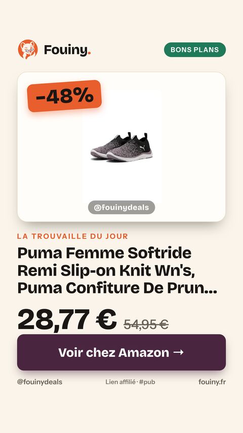 Puma Femme Softride Remi Slip-on Knit Wn's, Puma Confiture De Prunes Noires, 38 EU
