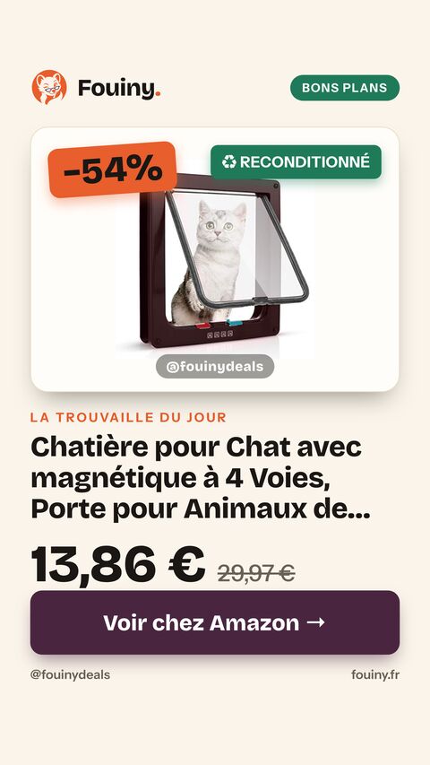 Chatière pour Chat avec magnétique à 4 Voies, Porte pour Animaux de Compagnie pour Chats et Petits Chiens, Porte pour Chat avec Tunnel Marron 18 x 19 x 5.5 cm L-23,5*25*5,5cm